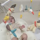 베이비멍 | 신생아출산선물 베이비펜 브루노 오르골 아기모빌 후기 알아볼게요~!