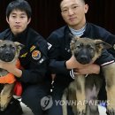 비룡축산 이미지