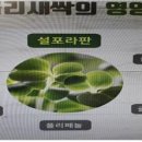 (주) 도인