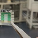 서울엔지니어링 노동조합 이미지