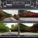 별의정원 이미지