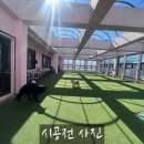 댕포유 이미지