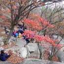 백운산장