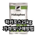 코리아아그로 하카포스25kg (포스카솔) - 후반기 관주비료는 흡수력입니다.