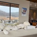 동트는마을노동조합 | 용인 남사 브런치카페 호텔북리 / 애견동반가능 맛은 있는데