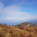 주정형외과의원 이미지