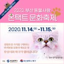 견생폼사 이미지