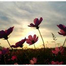 운암농장 이미지