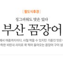 풍천장어와부산꼼장어 이미지