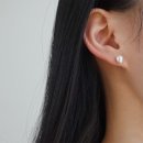2394 이미지