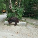 시티즌랜드 이미지