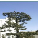 수출대로-16 이미지