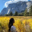 별장캠핑카 | 요세미티 1박2일 VIP 투어 벤츠 밴으로 떠나는 별장 숙박