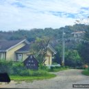 제부 포레스트 이미지