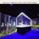 태백고생대자연사박물관 | 태백 실내 가볼만한곳 태백 고생대 자연사박물관