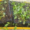 강산자연농장 이미지