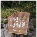 아미산자생식물원 이미지