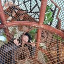 쥬디스펜션 이미지