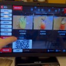 눈꽃초밥 | [광주 동명동 맛집] 연어쁘다 :: 연어 러버의 대왕연어초밥, 눈꽃연어볼초밥 솔직후기