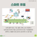 팜 마트 이미지