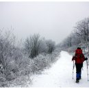 바람개비 이미지