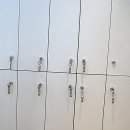 수원-1784 | 수원 인계동미용실에서 인생 머리 찾은 썰