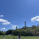 너스베이글 | 뉴욕 센트럴파크에서 브런치 먹기 (블루보틀, 르뱅베이커리, 주커스베이글, 매그놀리아베이커리)