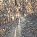 부분새트렉.중랑구 구릉산 주변 이미지