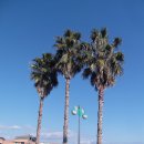 감귤박물관 이미지