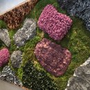 가든빌딩 이미지