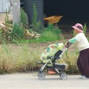 도마다리 이미지