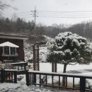 카페하애 이미지