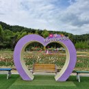 별이된친구