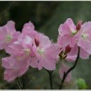 기계봉좌마을 이미지