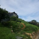 수원팔색길 화성성곽길 | 8월 중순, 수원 팔색길 <화성성곽길> 걷기