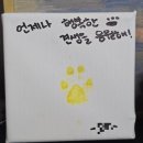 같이할개 반려견유치원 대전점 | 대전 반려견유치원 애견유치원 강아지 호텔링 같이할개