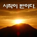 시작 Daum카페