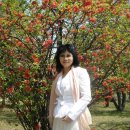 영동고등학교 이미지