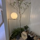 대우마이빌약국 이미지