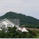 남강어탕 이미지