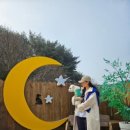 홀리독풀빌라 이미지