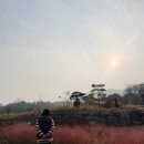 136 | 이천 카페 추천 이천 베이커리 카페 추천 + 이진상회, 다육당, 비브릭스, 이여로제빵소 내돈내산 내돈내먹