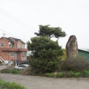 만발목장 이미지