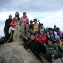 위드메딕 이미지