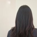 메이트헤어 네이버블로그
