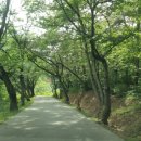 익산 숭림사