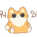 경기도 수원시 팔달구 정조로788번길 이미지