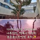 생활권수목관리, 눈 피해수목 제거, 가지치기작업 &#39;푸른솔나무병원&#39;