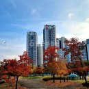 아이파크세탁소 | 래드마크 “풀옵션·초역세권·원스톱 생활까지, 완벽하게 갖춘 프리미엄 오피스텔” 아이파크스위트~!!!!