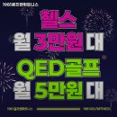 1981골프앤휘트니스 이미지